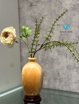 Lục Bình Ngọc Hoàng Long